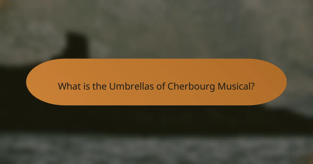 What is the Umbrellas of Cherbourg Musical?